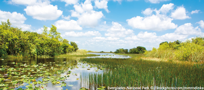 Everglades National Park